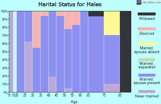 Zip code 57221 marital status for males