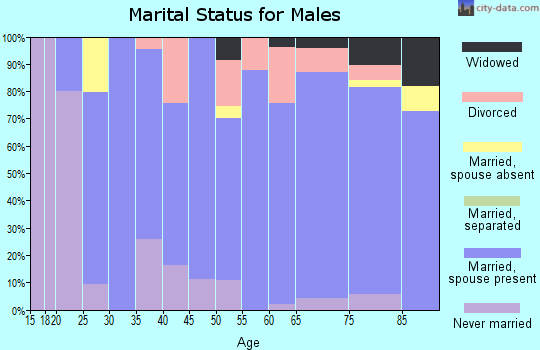 Zip code 57231 marital status for males
