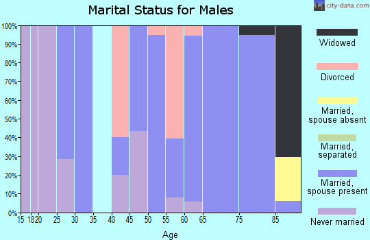 Zip code 57237 marital status for males