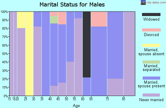 Zip code 57238 marital status for males