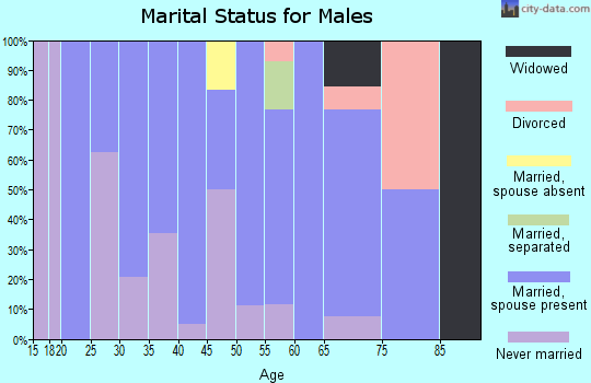 Zip code 57241 marital status for males