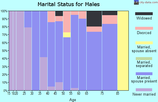 Zip code 57243 marital status for males