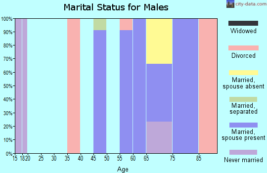 Zip code 57247 marital status for males