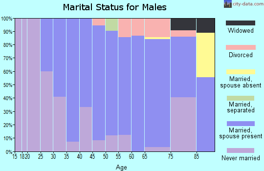 Zip code 57260 marital status for males