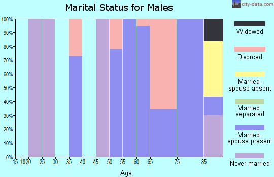 Zip code 57261 marital status for males