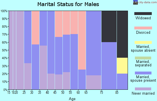 Zip code 57263 marital status for males