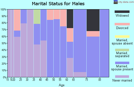 Zip code 57273 marital status for males