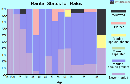 Zip code 57276 marital status for males
