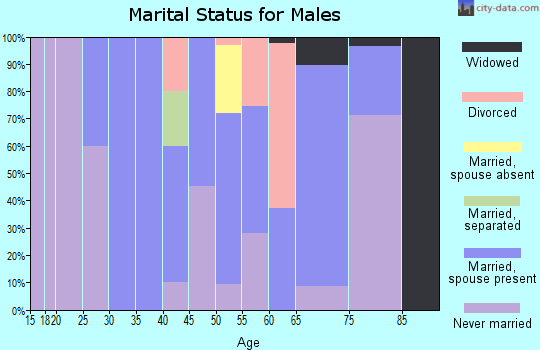 Zip code 57311 marital status for males