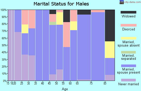 Zip code 57313 marital status for males
