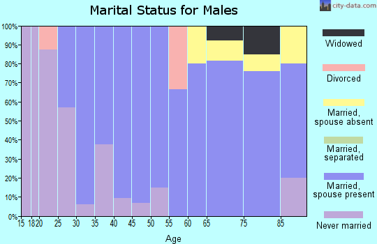 Zip code 57315 marital status for males