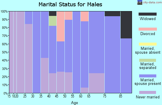 Zip code 57317 marital status for males