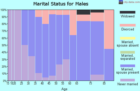 Zip code 57319 marital status for males