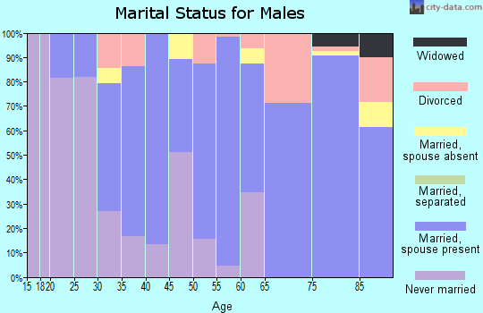 Zip code 57325 marital status for males