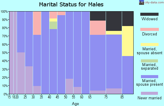 Zip code 57328 marital status for males