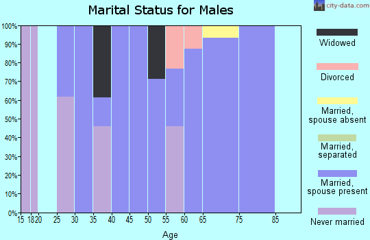 Zip code 57329 marital status for males