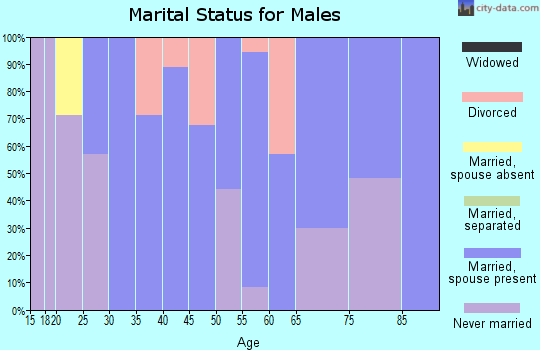 Zip code 57334 marital status for males
