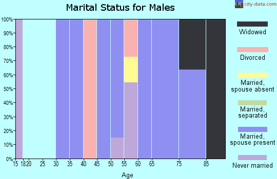 Zip code 57335 marital status for males