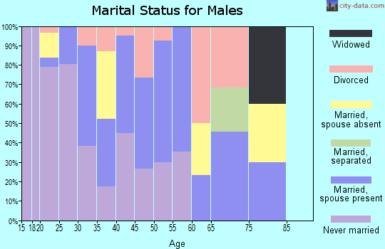 Zip code 57339 marital status for males