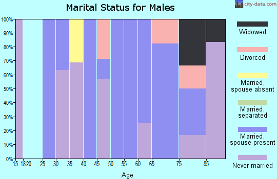 Zip code 57342 marital status for males