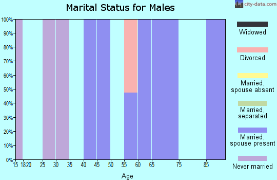 Zip code 57344 marital status for males