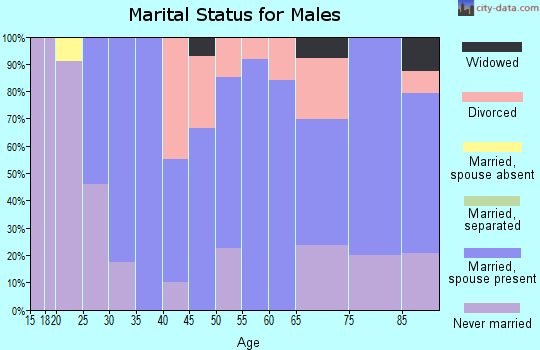 Zip code 57345 marital status for males