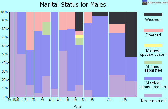 Zip code 57349 marital status for males