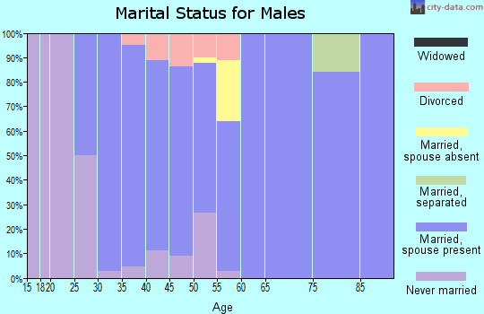 Zip code 57353 marital status for males