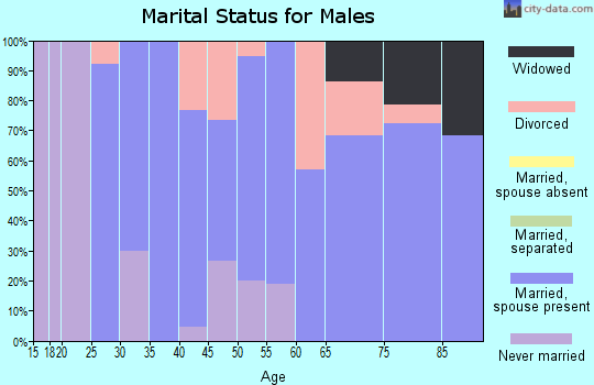 Zip code 57355 marital status for males