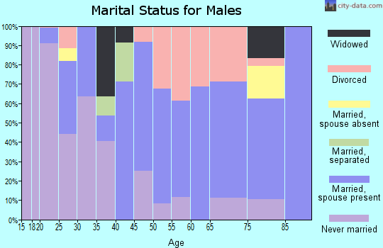 Zip code 57356 marital status for males