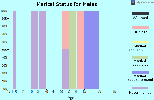 Zip code 57361 marital status for males
