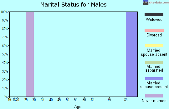 Zip code 57364 marital status for males