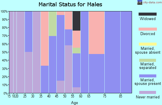 Zip code 57365 marital status for males