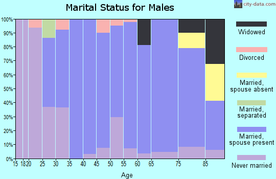 Zip code 57366 marital status for males