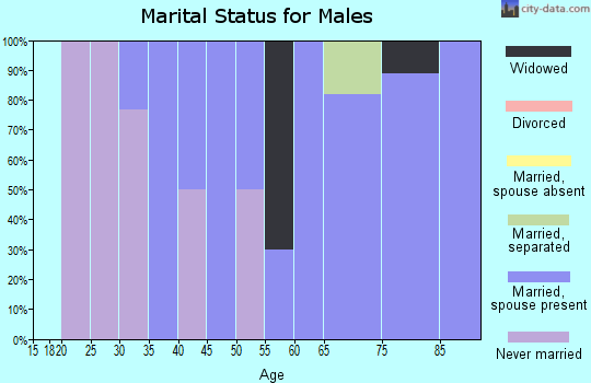 Zip code 57367 marital status for males