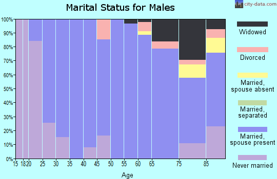 Zip code 57369 marital status for males