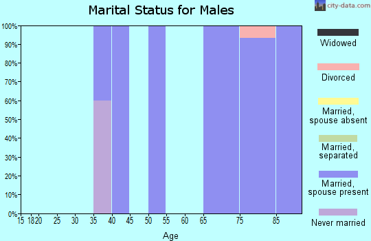 Zip code 57371 marital status for males