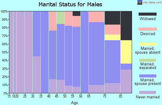 Zip code 57376 marital status for males