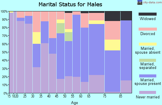 Zip code 57380 marital status for males