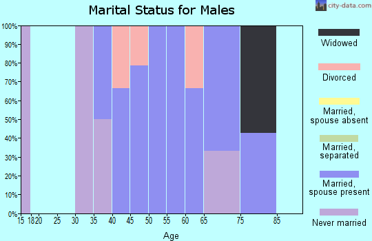 Zip code 57386 marital status for males