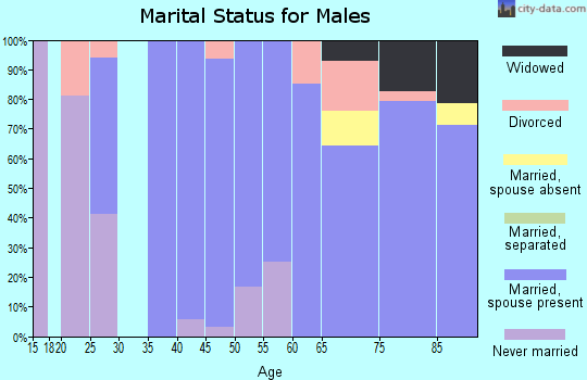 Zip code 57428 marital status for males