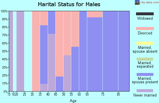 Zip code 57435 marital status for males