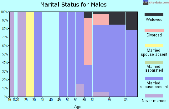 Zip code 57446 marital status for males