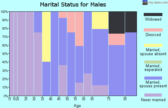 Zip code 57454 marital status for males
