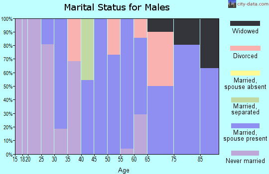 Zip code 57456 marital status for males