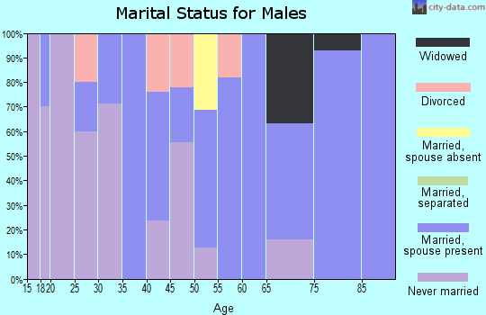 Zip code 57461 marital status for males