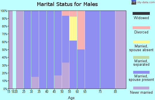 Zip code 57465 marital status for males