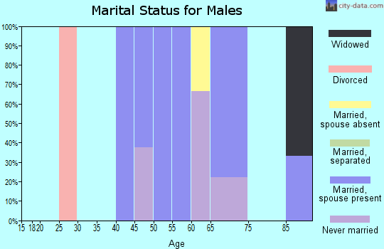 Zip code 57466 marital status for males