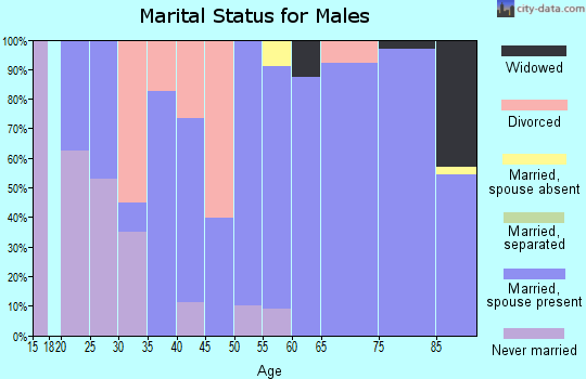 Zip code 57472 marital status for males