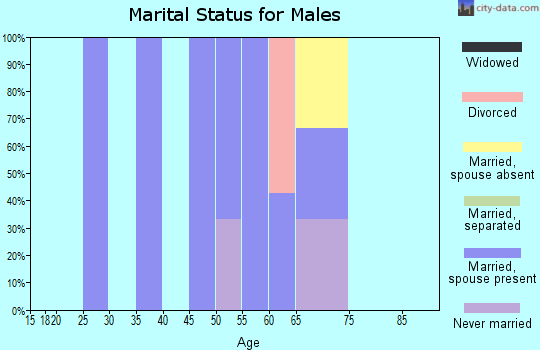 Zip code 57473 marital status for males